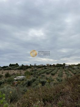 Οικόπεδο 5.835 τ.μ. για πώληση