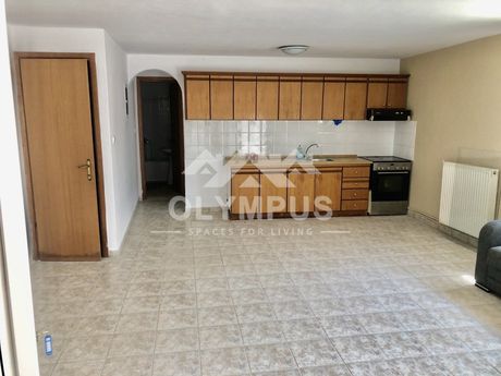 Studio / γκαρσονιέρα 55τ.μ. για πώληση-Πανόραμα » Συνοικισμός νόμου 751