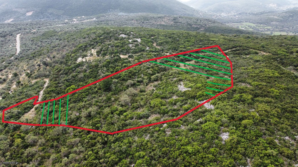 Αγροτεμάχια 22.000 τ.μ. πρός πώληση, Ν. Λευκάδας, Λευκάδα