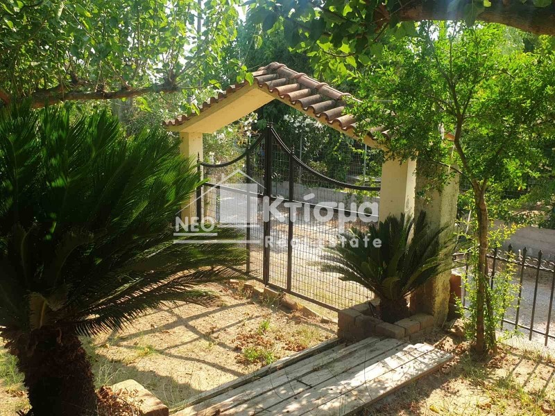 Κατοικία 75 τ.μ. προς πώληση, Κυανή Ακτή Πύργου