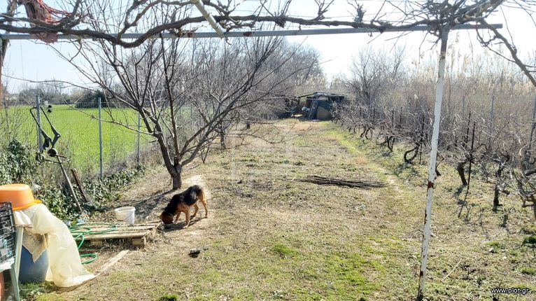 Αγροτεμάχια 500 τ.μ. για πώληση, Ν. Ροδόπης, Κομοτηνή
