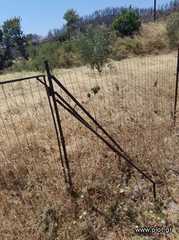 Οικόπεδο 1.000 τ.μ. προς πώληση