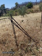 Land plot 1.000 sqm for sale