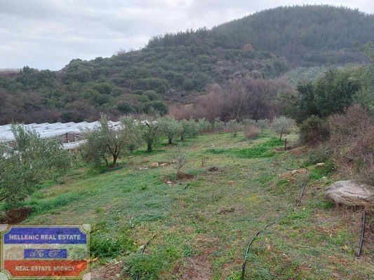 Parcel 1.250 sqm for sale, Kavala Prefecture, Eleitheres