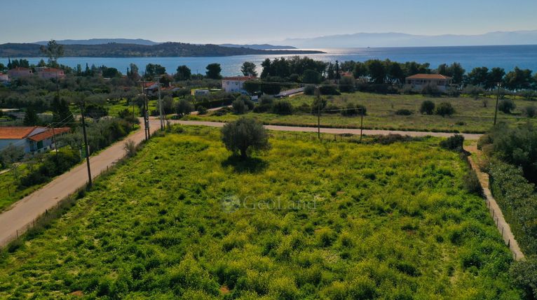 Αγροτεμάχια 2.010 τ.μ. για πώληση, Αργολίδα, Κρανίδι