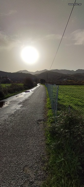 Οικόπεδο 4.000 τ.μ. προς πώληση, Θινάλιο