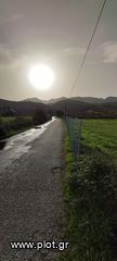 Οικόπεδο 4.000 τ.μ. προς πώληση, Θινάλιο-thumb-2