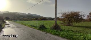 Οικόπεδο 4.000 τ.μ. προς πώληση, Θινάλιο-thumb-3