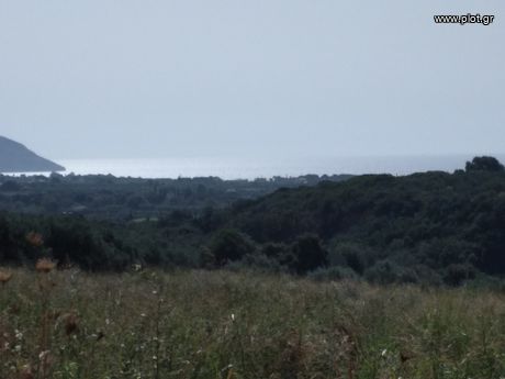 Οικόπεδο 10.071τ.μ. για πώληση-Γαργαλιάνοι » Τραγάνα