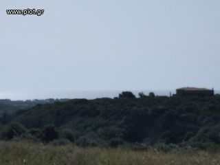 Οικόπεδο 10.071 τ.μ. για πώληση, Μεσσηνία, Γαργαλιάνοι-thumb-1