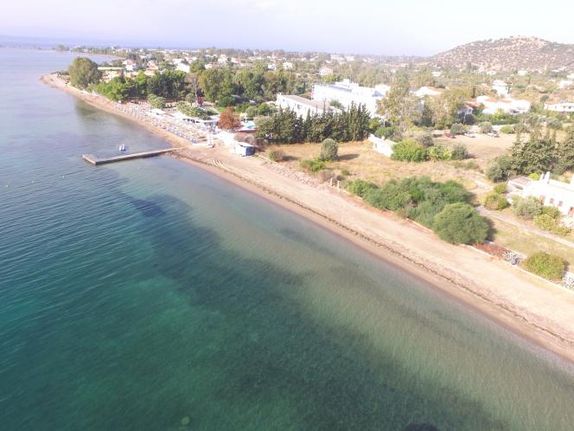 Land plot 12.000 sqm for sale, Evia, Eretria