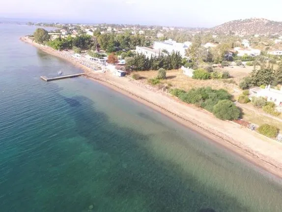 Οικόπεδο 12.000 τ.μ. για πώληση, Εύβοια, Ερέτρια