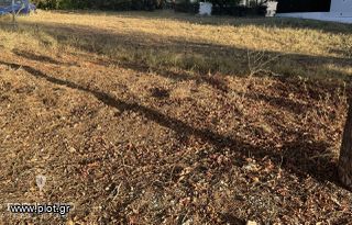 Οικόπεδο 474 τ.μ. για πώληση