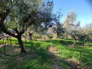 Οικόπεδο 344 τ.μ. για πώληση, Αχαΐα, Πάτρα-thumb-9