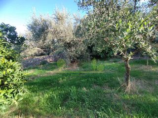 Οικόπεδο 344 τ.μ. για πώληση, Αχαΐα, Πάτρα-thumb-13