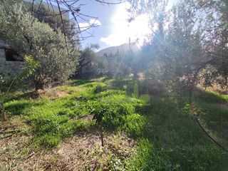 Οικόπεδο 344 τ.μ. για πώληση, Αχαΐα, Πάτρα-thumb-17