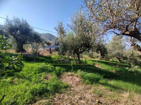 Οικόπεδο 344τ.μ. για πώληση-Πάτρα » Καρυά