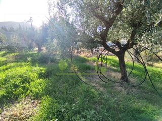 Οικόπεδο 344 τ.μ. για πώληση, Αχαΐα, Πάτρα-thumb-11