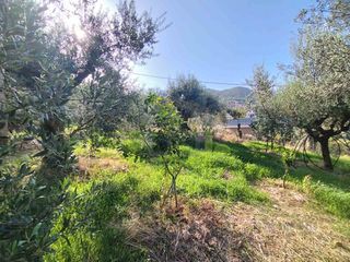Οικόπεδο 344 τ.μ. για πώληση, Αχαΐα, Πάτρα-thumb-10
