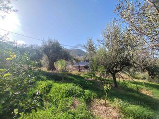Οικόπεδο 344 τ.μ. για πώληση, Αχαΐα, Πάτρα-thumb-15