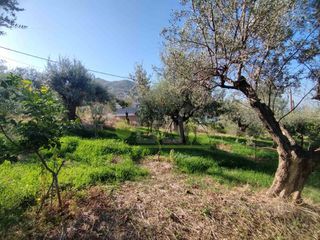 Οικόπεδο 344 τ.μ. για πώληση, Αχαΐα, Πάτρα-thumb-5
