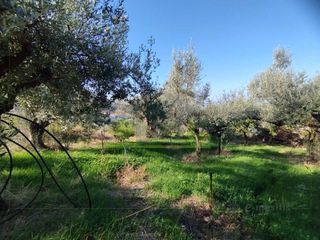 Οικόπεδο 344 τ.μ. για πώληση, Αχαΐα, Πάτρα-thumb-12