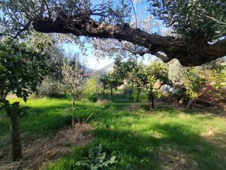 Οικόπεδο 344 τ.μ. για πώληση, Αχαΐα, Πάτρα-thumb-1
