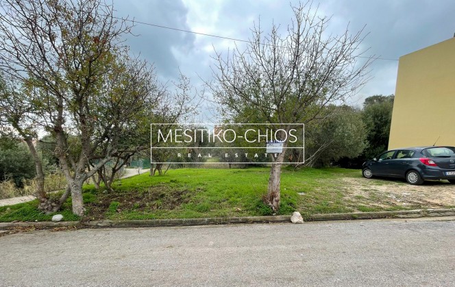 Οικόπεδο 703 τ.μ. προς πώληση, Ομηρούπολη