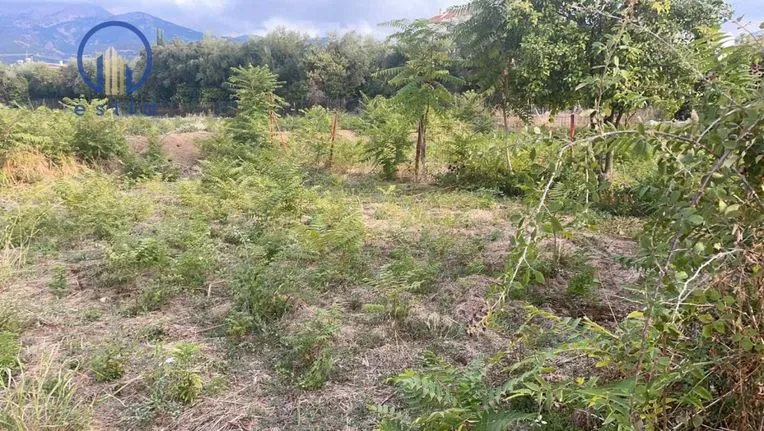 Land plot 440 sqm for sale, Achaia, Patra