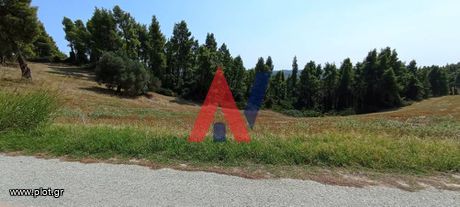 Αγροτεμάχια 4.300τ.μ. για πώληση-Κασσάνδρα » Ελάνη