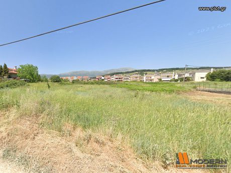 Οικόπεδο 2.647τ.μ. για πώληση-Ιωάννινα » Καρδαμίτσια