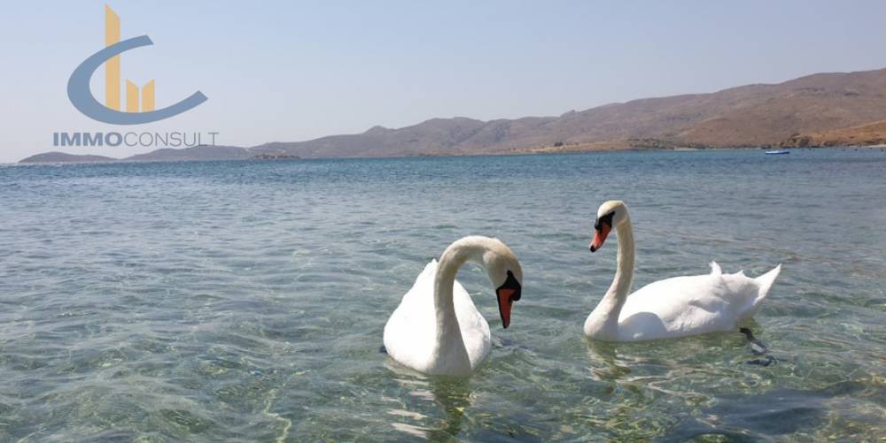 Οικόπεδο 58.000 τ.μ. προς πώληση, Πηγαδάκια Καρύστου