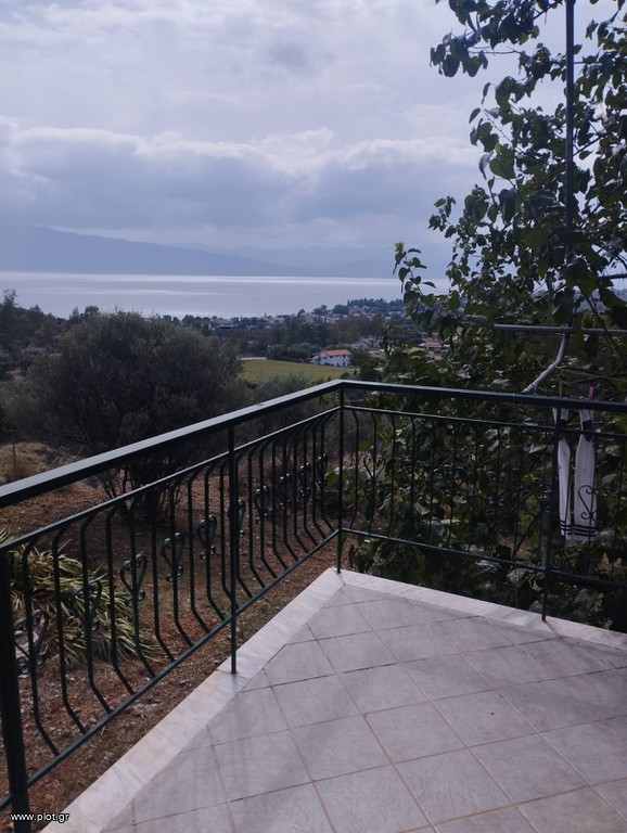 Μονοκατοικία 140 τ.μ. πρός πώληση, Φθιώτιδας, Εχιναίων