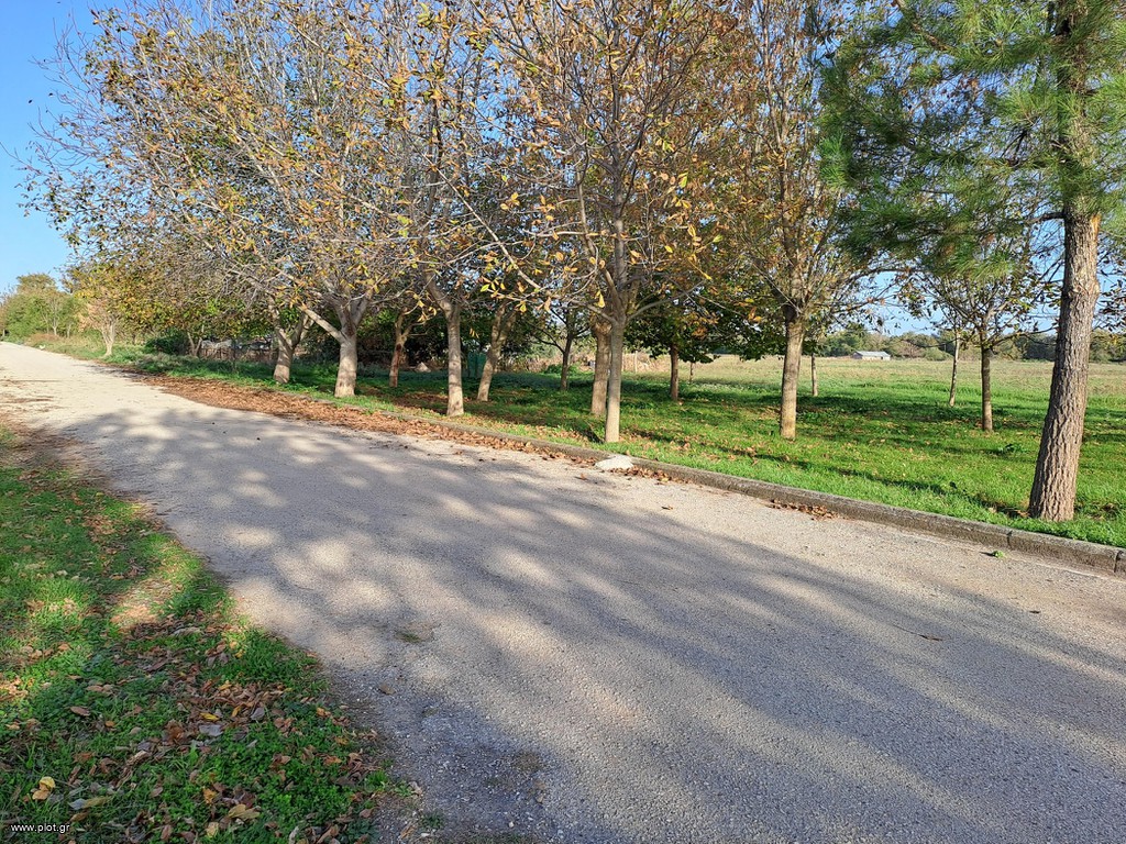 Οικόπεδο 500 τ.μ. πρός πώληση, Ν. Τρικάλων, Τρίκαλα