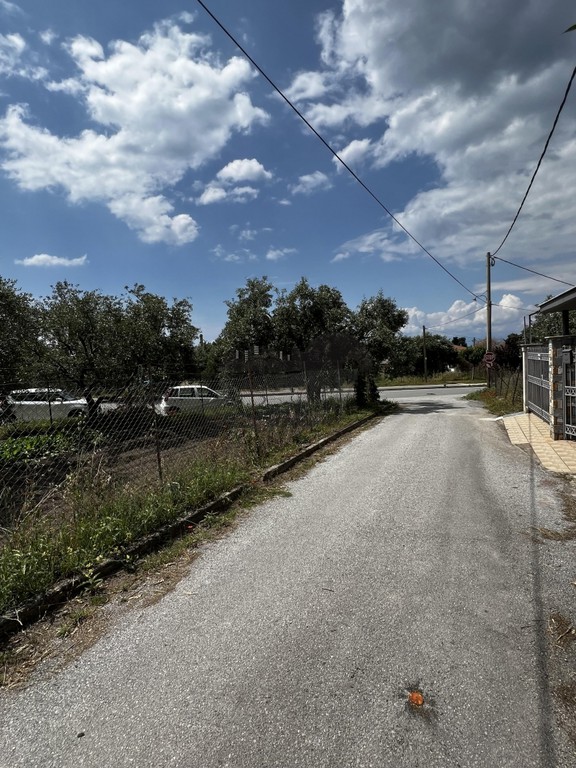Αγροτεμάχια 250 τ.μ. πρός πώληση, Μαγνησία, Αγριά