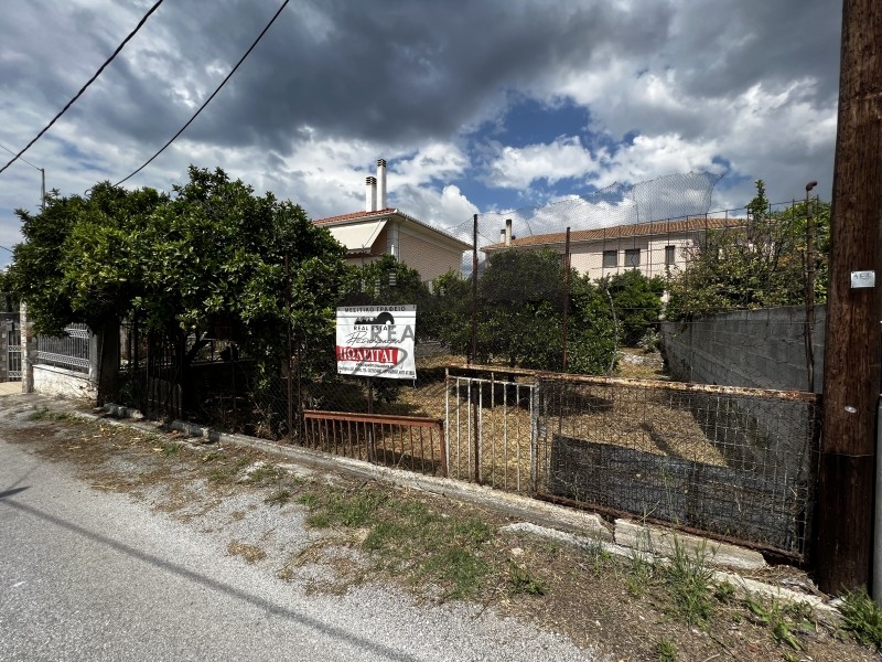 Αγροτεμάχια 250 τ.μ. πρός πώληση, Μαγνησία, Αγριά