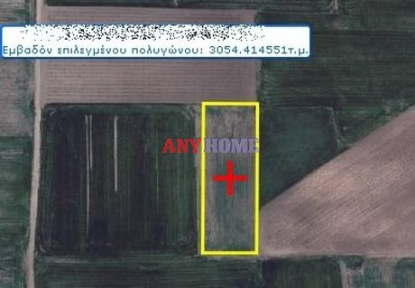 Αγροτεμάχια 3.054 τ.μ. για πώληση