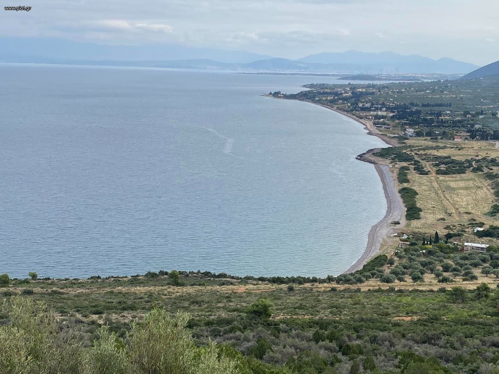 Οικόπεδο 16.000 τ.μ. πρός πώληση, Εύβοια, Ανθηδώνος