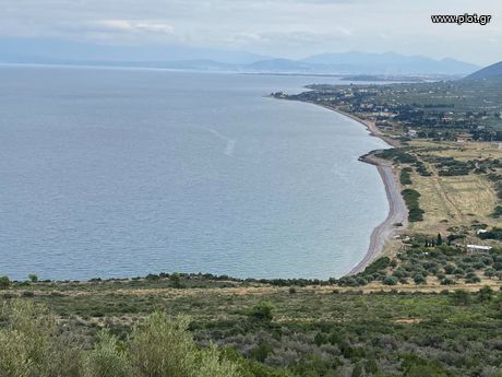 Οικόπεδο 16.000τ.μ. για πώληση-Ανθηδώνος » Κέντρο