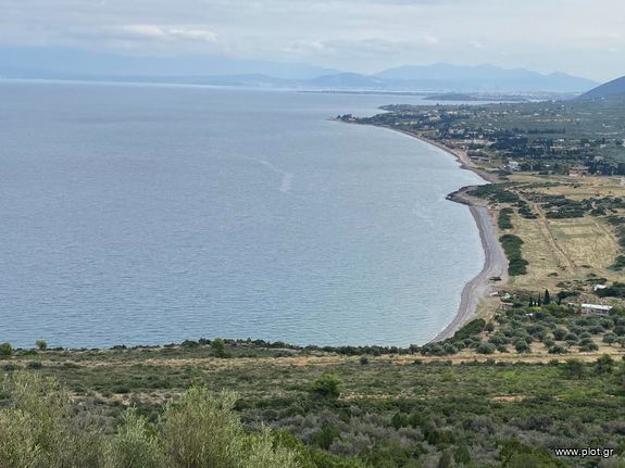Land plot 16.000 sqm for sale, Evia, Anthidonos
