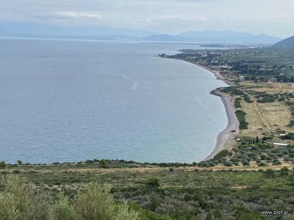 Οικόπεδο 16.000 τ.μ. για πώληση, Εύβοια, Ανθηδώνος