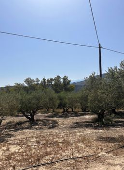Οικόπεδο 693τ.μ. για πώληση-Κίσσαμος » Λουσακιές