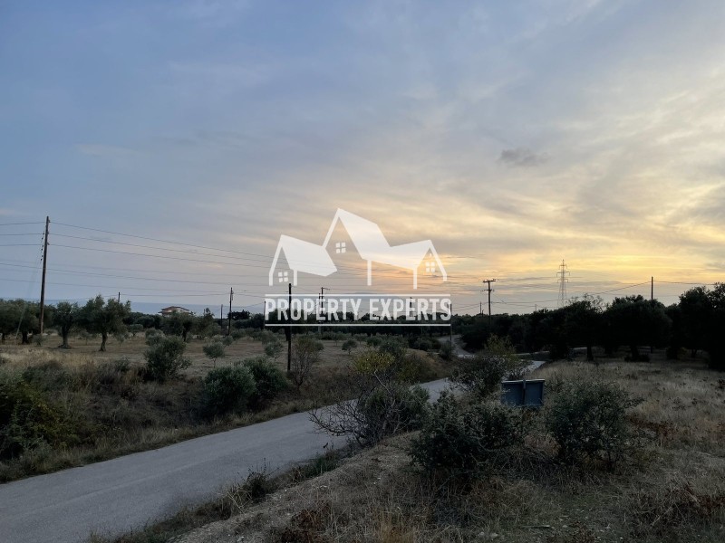 Διαμέρισμα 36 τ.μ. προς πώληση, Μάκρη Αλεξανδρούπολης