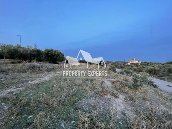 Διαμέρισμα 36 τ.μ. για πώληση, Εβρος, Αλεξανδρούπολη