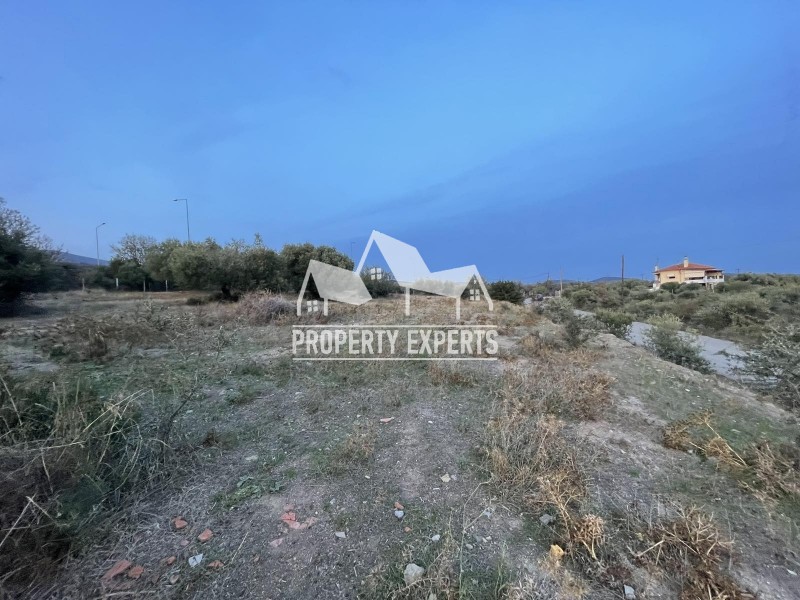 Διαμέρισμα 36 τ.μ. προς πώληση, Μάκρη Αλεξανδρούπολης