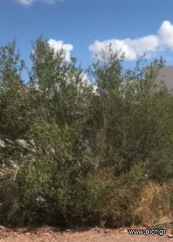 Οικόπεδο 544 τ.μ. για πώληση