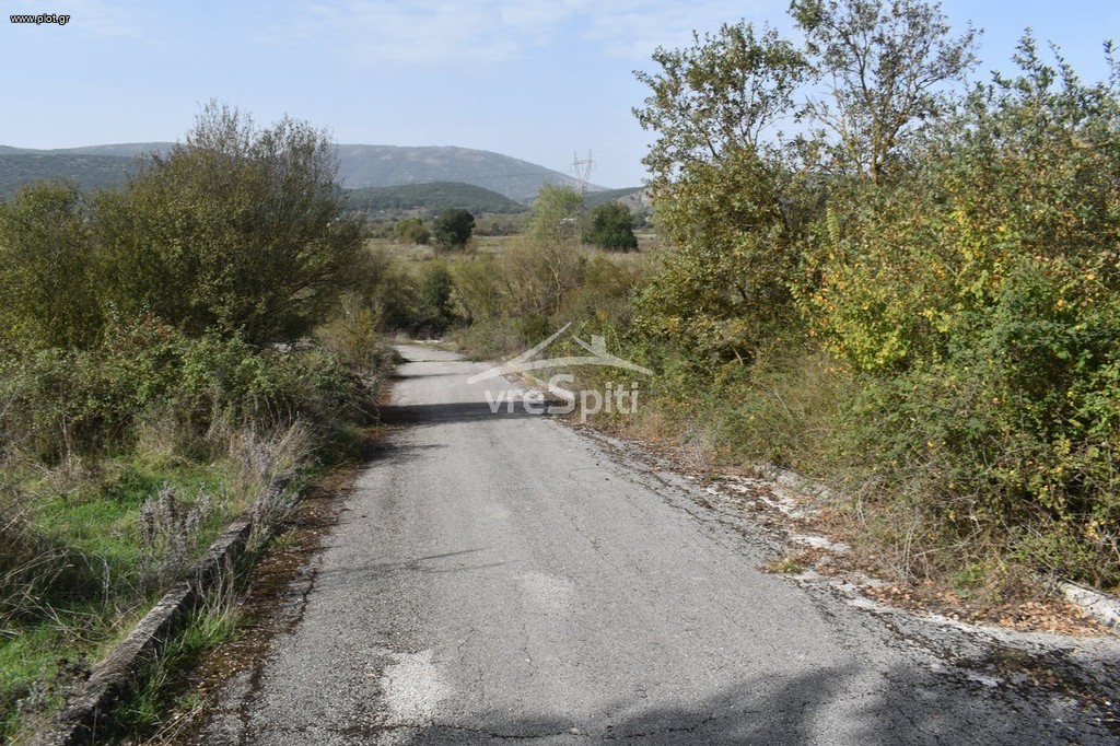 Οικόπεδο 500 τ.μ. προς πώληση, Πεδινή