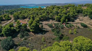 Αγροτεμάχια 6.300 τ.μ. πρός πώληση, Αργολίδα, Κρανίδι-thumb-17