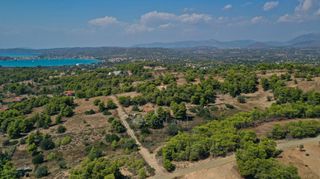 Αγροτεμάχια 6.300 τ.μ. πρός πώληση, Αργολίδα, Κρανίδι-thumb-14