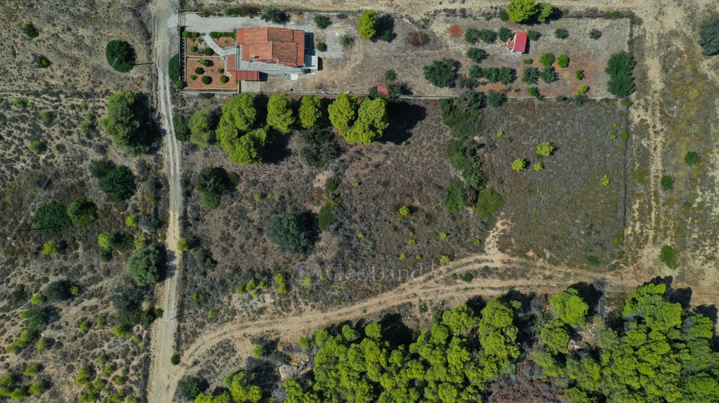 Αγροτεμάχια 6.300 τ.μ. πρός πώληση, Αργολίδα, Κρανίδι